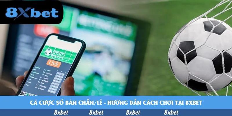 Cá cược số bàn chẵn/lẻ – Hướng dẫn cách chơi tại 8xbet
