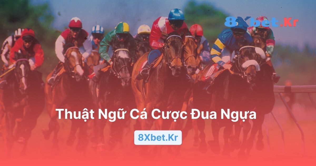11 Thuật Ngữ Cá Cược Đua Ngựa Phổ Biến Hiện Nay Trên 8Xbet